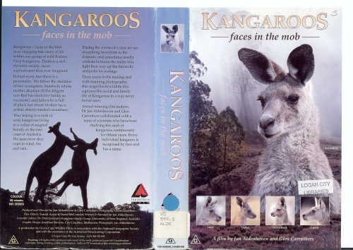 Faces in the Mob - Best Kangaroo Doc I have ever seen