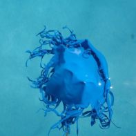 blue-balloon-looks-like-jellyfish