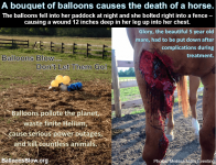 horse-glory-balloon-release